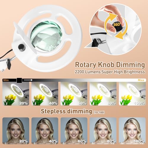 HITTI 2200 Lumens 12X Magnifier Esthetician Light, 4 Wheel Rolling Base - color: White