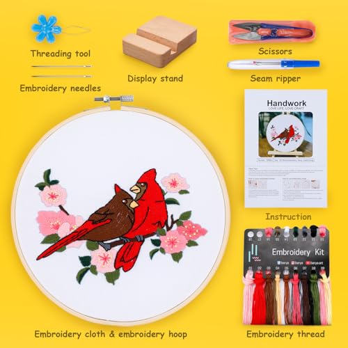 Hummingbird and Flower Embroidery Kit for Adults, DIY Embroidery Kits with Original Design Patterns, Learn to Embroider Kit Beginner with Needles and Thread, Clear Instructions and Video (BEB003) - color: bird blue