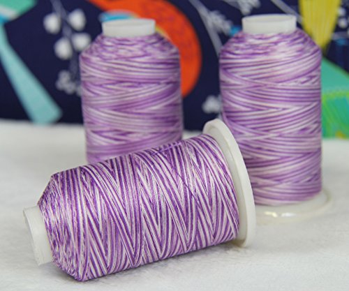 ThreadArt Variegated Cotton Thread Set, 600M 40/3, 3 Cones Blue Shades - color: VARIEGATED BLUE COLORS