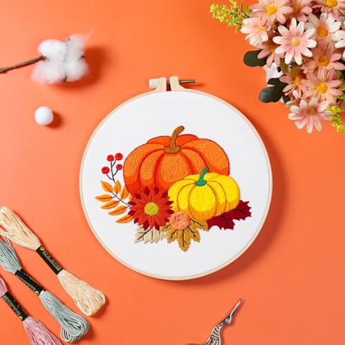 Louise Maelys 3 Set Embroidery Kit for Beginners with Pumpkin Harvest - color: pumpkin flower