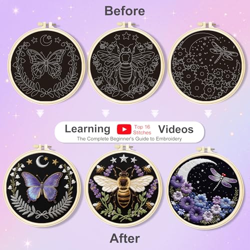 Huacan Embroidery Kit for Adults Beginners with 3 Hoops & Gift Box - color: Insects