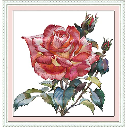 ITSTITCH Stamped Cross Stitch Kits for Beginners Full Range of Crossstitching Kits Preprinted Pattern for Kids or Adults, Embroidery Needlepoint Starter Kits 14CT 2 Strands-Rose,16.9''x17.3'' - color: Rose,16.9''x17.3'