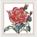 ITSTITCH Stamped Cross Stitch Kits for Beginners Full Range of Crossstitching Kits Preprinted Pattern for Kids or Adults, Embroidery Needlepoint Starter Kits 14CT 2 Strands-Rose,16.9''x17.3'' - color: Rose,16.9''x17.3'