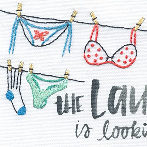 Out to Dry Needlepoint Embroidery Kit with Pattern - color: Multicolor