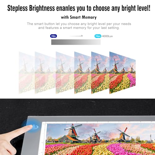 LitEnergy Portable A4 LED Copy Board Light Tracing Box, Silver Ultra-Thin Adjustable USB Power Artcraft LED Trace Light Pad for Tattoo Drawing, Streaming, Sketching, Animation, Stenciling - color: SILVER, size: 8.3 x 11.7 inches