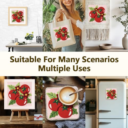 Doodlream Fresh Tomato Needle Kit for Beginner, 9.4"x 9.4" Color Vegetable Punch Stitching Craft Set, DIY Embroidery Starter with Printed Frame, Instruction, Threader, Yarn, Pinch Needle - color: Tomato