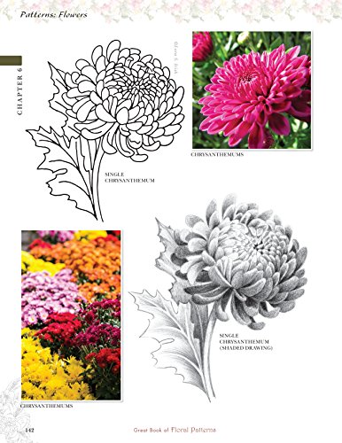 Great Book of Floral Patterns, Third Edition, Revised and Expanded: The Ultimate Design Sourcebook for Artists and Crafters (Fox Chapel Publishing) Over 100 Expertly Drawn Designs from Lora S. Irish