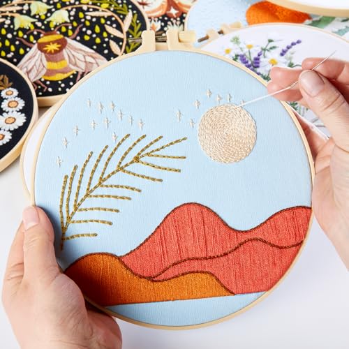 Armindou Hand Embroidery Starter Kit for Beginners Adults, Counted Cross Stitch kit for Adult Beginner, Stamped Embroidery Needlepoint Kit, 2 Set Embroidery Supplies, 2 Hoops (Attached Video Tutorial) - color: Red, size: 8inch