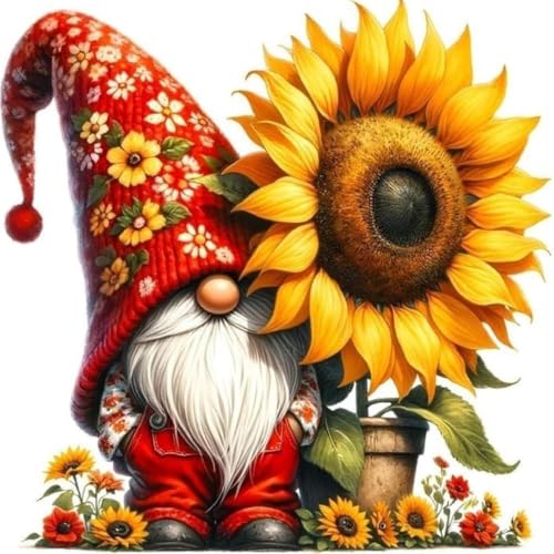 DYAIANGMU Gnome Stamped Cross Stitch Kit for Adults 13.7x13.7 inches - color: gnome-23