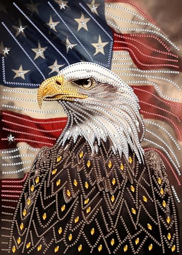 SKRYUIE DIY Diamond Art Kits for Adults Eagle Special Shape - 5D Diamond Painting Kits for Adults Animal - Crystal Embroidery Cross Stitch - Craft for Wall & Office Decor 12×16 Inch - color: Colorful-2