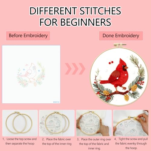 Zhenqing Cardinal Embroidery Kit for Beginners, Winter Red Bird Needlework Craft with Pre-Printed Cotton Fabric, Hoop, Threads & Tools, Holiday Decor (C0213) - color: Winter Cardinal