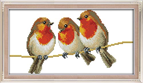 Abillyn Embroidery Cross Stitch Kits Three Little Birds Stamped with Printed Pattern Starter Kit (Birds 1) - color: Birds 1