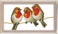 Abillyn Embroidery Cross Stitch Kits Three Little Birds Stamped with Printed Pattern Starter Kit (Birds 1) - color: Birds 1