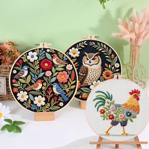 Ohcol Embroidery Kit Beginners Cross Stitch Needlepoint Kits for Adults Needle Point Kits with Hummingbird & Hoop - color: Black - Hummingbird