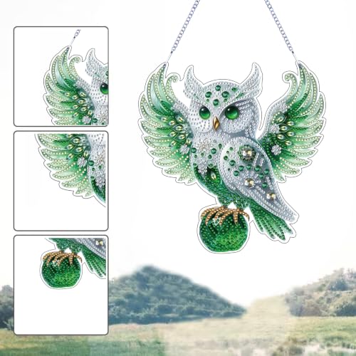 STGLCR Diamonds Art kit for Adult,Owl Pendant Diamonds Painting Art Kit,7.79x7.59inch Acrylic Diamonds Painting Board Kit Ornament, Special Crystal Diamond Hanging Ornament - color: Owl