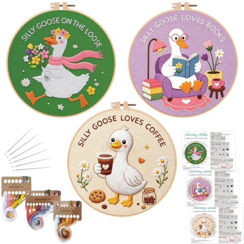 Louise Maelys 3 Pack Embroidery Kit for Beginners, Fun Silly Goose Design - color: Silly Goose