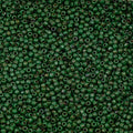 10g TOHO Seed Beads 11/0, Small Japan rocailles, #47H+T Dark Green Picasso Hybrid - color: 47H+T - 11/0 (small)