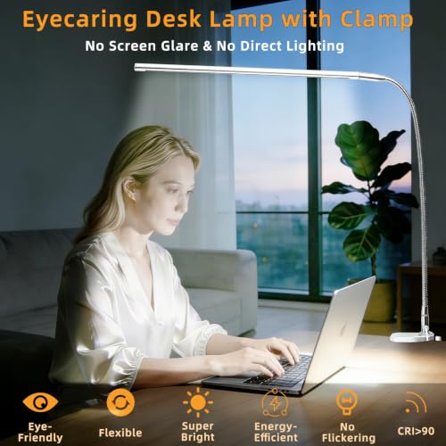 Space Aluminum LED Desk Lamp with Clamp Reading Study Desk Light