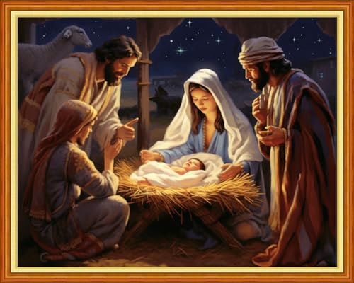 Dimensean Stamped Cross Stitch Kits Full Range of Embroidery Patterns Starter Kits for Beginners Adult DIY Cross Stitches Needlepoint Kits 11CT-Nativity 16x20 inch - color: Craftpattern46