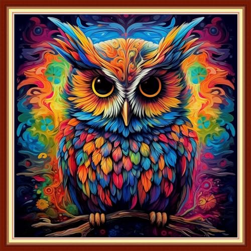 Redxing Stamped Cross Stitch Kits Full Range of Embroidery Starter Kits- Needlepoint Counted Cross Stitch Kits for Beginner Adults 11CT Printed Embroidery Kit-Magic Owl 18x18 inch - color: Artskits09