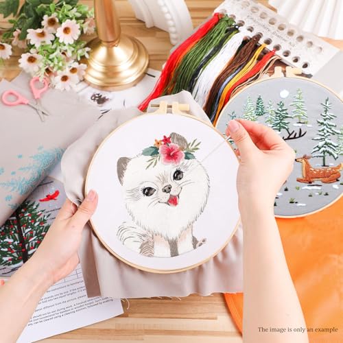 artcici Embroidery Kits Christmas House Patterns for Beginners Adults, Full Range Embroidery Starter Kits Cross Stitch Needlework Supplies (House) - color: House