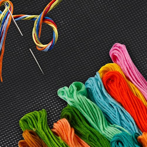 6 PCS 14 Count Plastic Mesh Canvas Sheets, 11x8.2 inch Plastic Cross Stitch Canvas for Cross Stitch, Embroidery, Knit,Crochet DIY Projects and Embroidery Making (Black) - color: Black