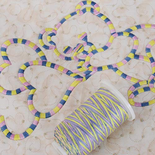 ThreadArt Multicolor Cotton Thread, 600M 40/3, Wildflowers 2636 - color: Wildflowers