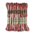 10 Skeins Brown 0.5mm 6-Ply Polyester Embroidery Floss Cross Stitch Threads Segment Dyed Gradient for DIY Craft Hand Sewing Knitting DIY Crafts Jewelry Making 8.75 Yards(8m)/Skein - color: Brown