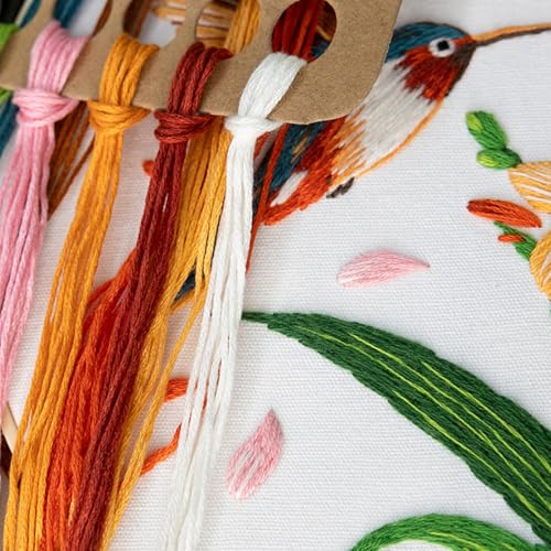 GLTAYLMY 3 Pack Embroidery Kits for Adults, Hummingbird and Flower Embroidery Kit for Beginners with Clear Instructions,1 Plastic Embroidery Hoops, Stamped Patterns, Colorful Threads, Tools - color: Bird123