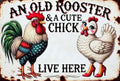 an Old Rooster & A Cute Chick Live Here Chicken Stamped Cross Stitch Kits