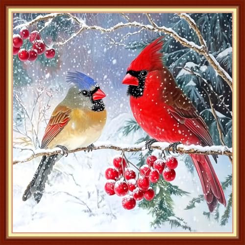 DMCVIVR Stamped Cross Stitch Kits for Beginners Adults Needlepoint Kits for Beginners Embroidery Kits for Adults Crossstitch Kit for Beginners 11CT-Two Little Birds in Snowy Scenery 18x18 inch - color: ColorNice11
