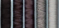 Sue Spargo Eleganza #5 Perle, Five 40yd Spools of Polished Cotton Thread for Embroidery Bundle (K - Greyscale)