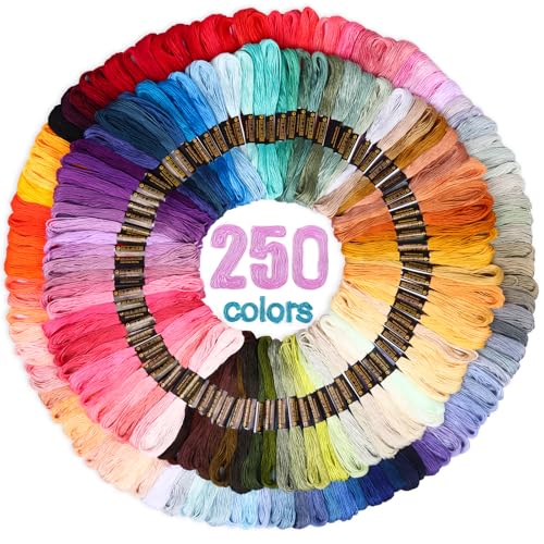 LOVIMAG Embroidery Thread 250pcs Friendship Bracelet String Floss Kit Yarn - style: 250pcs