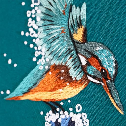 COCOMOX Embroidery Kit for Beginners, Hand Embroidery Stiches Practice Kit - color: Animals pattern