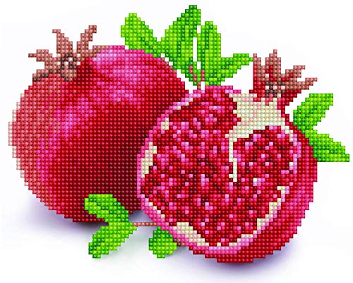 DIAMOND DOTZ Good Fortune Pomegranate Diamond Painting for Adults with Gems - size: 1