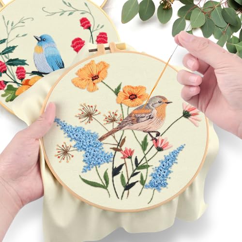 ERKOON 5 Sets Embroidery Kit for Beginners Adult Bird Flower Cross Stitch - color: Butterfly and Hummingbird