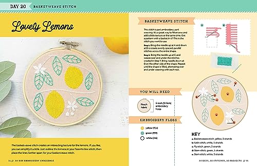 The 30-Day Embroidery Challenge: A Day-by-Day Guide to Learn New Stitches and Create Beautiful Designs (30-Day Craft Challenge)