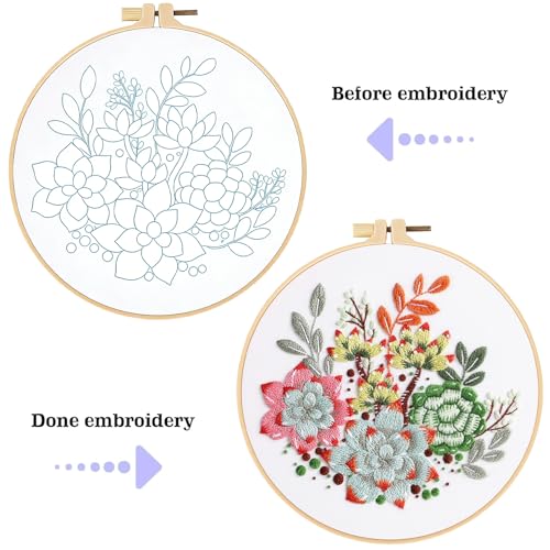 spicssa Embroidery Kit for Beginners, Hand Needlepoint Kits for Adults with Pre-Stamped Patterns, 7.8-Inch Hoop, Threads & Needles, Step by Step Instructions - color: Succulent