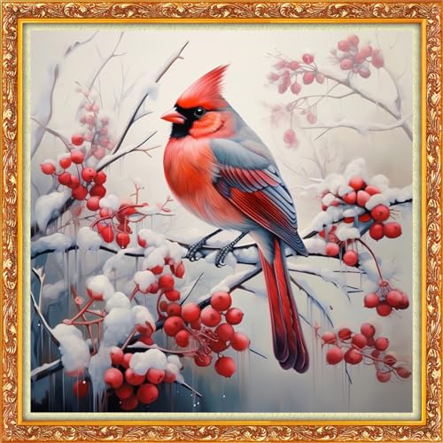 Funxvoot Stamped Cross Stitch Kits Beginners Full Range of Embroidery Kits for Adults 11CT Embroidery Patterns Needlepoint Kits Printed Cross Stitch Kits-Bird Snow Scenery 18x18 inch - color: Craftsstyle05