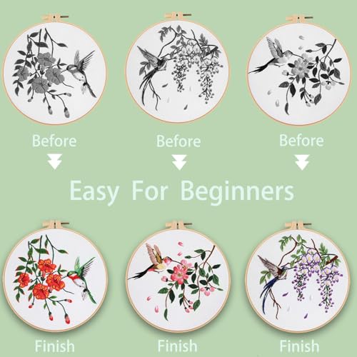 Ohcol 3 Sets Hummingbird Embroidery Kit for Beginners Needlepoint Kits for Adults Cross Stitch Kits with Clear Instructions,Easy Funny Stamped Bird Patterns Fabric Hand Crafts - color: Q-Hummingbird (3 Patterns, 1 Hoop + Extas)