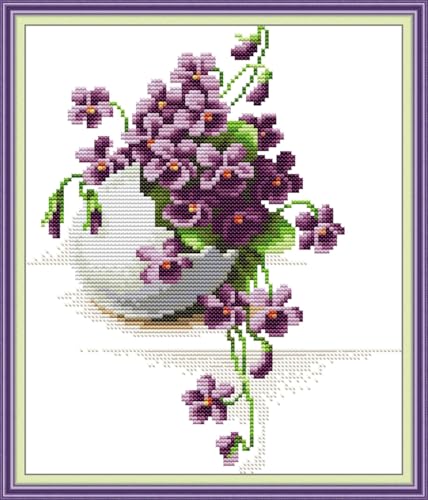 Meecaa Cross Stitch Kits 14 Count Stamped, Egg Succulent Plant Embroidery Kit with Accessories Pre Printed (Night) - color: Night
