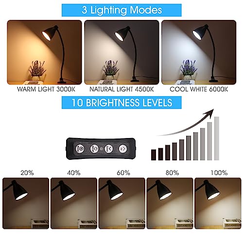 GlowVibe Desk Lamp 3 Color Modes 10 Brightness Dimmer Reading Light 10W 40 LED Clamp Lamp 360° Flexible Neck Clip on Light for Bedroom and Office Home Lighting, AC Adapter Include - color: Black