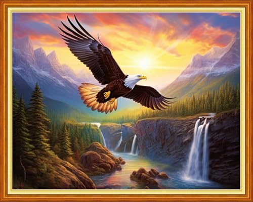 Magxvouy Cross Stitch Kits Stamped Full Range of Embroidery Kits,Cross Stitch Patterns Needlework Kits for Beginners 11CT Printed Kits&Eagle Sunrise 16x20 inch - color: Artcolor17