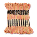 10 Skeins Sandy Brown 0.5mm 6-Ply Polyester Embroidery Floss Cross Stitch Threads Segment Dyed Gradient for DIY Craft Hand Sewing Knitting DIY Crafts Jewelry Making 8.75 Yards(8m)/Skein - color: Sandy Brown
