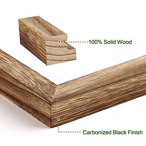 Emfogo 4x6 Picture Frames Photo Display for Tabletop Display Wall Mount Solid Wood High Definition Glass Photo Frame Pack of 2 - color: Carbonized Brown, size: 4x6 inch