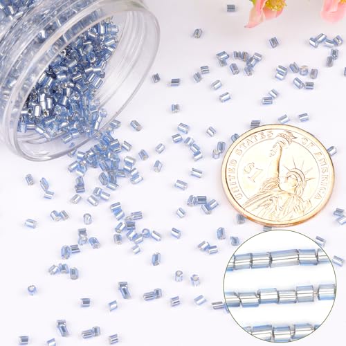 6000pcs Blue Bugle Beads Bulk, Embroidery Tube Short Beads for Jewelry Making, Bracelet,Necklaces Supplies,Craft DIY(3x2mm) - color: Blue