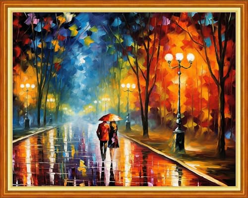 Redxing Stamped Cross Stitch Kits Full Range of Embroidery Starter Kits- Needlepoint Counted Cross Stitch Kits for Beginner Adults 11CT Printed Embroidery Kit-Romantic Night Stroll 16x20 inch - color: Artskits08