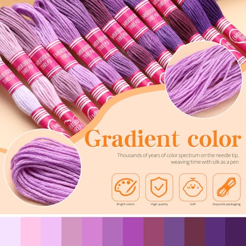 12 Skeins Embroidery Floss, 105 Yards Purple Embroidery Thread - color: Purple Series