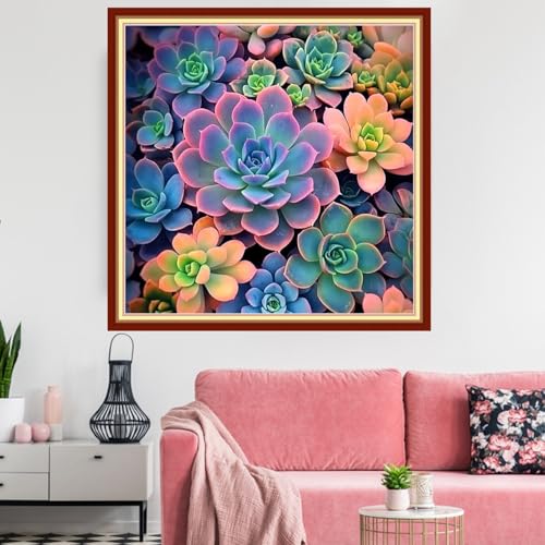 Redxing Stamped Cross Stitch Kits Embroidery kit for Beginners Adults Full Range of Embroidery Patterns Starter Kits DIY Printed Cross Stitch Kits Needlepoint Kits 11CT-Succulent Plants 18x18 inch - color: Artskits34