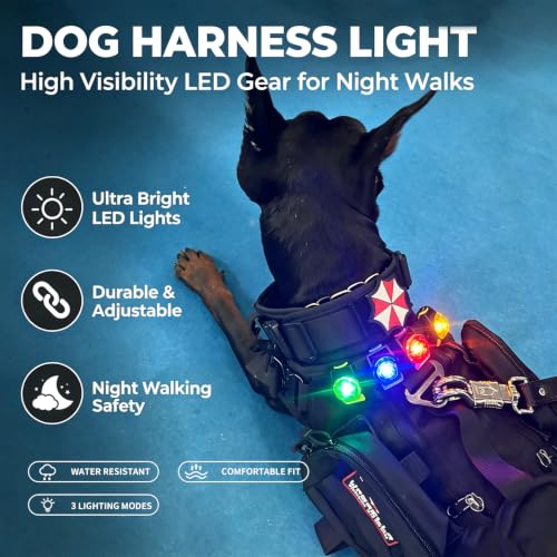 LaRoo Dog Collar Light, 13g Ultra-Light USB Rechargeable LED Dog Lights, IPX6 Waterproof 3 Modes Clip-On Pet Safety Light for Night Walking, Hiking & Camping -Green - color: Green-B